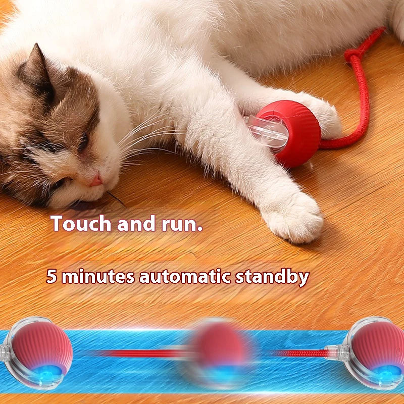 PawSphere Smart Interactive Cat Ball