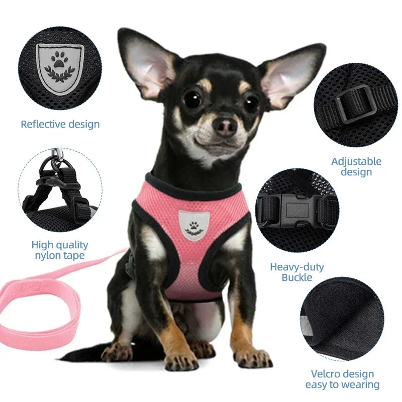 AirMesh Adjustable Pet Harness & Leash Set
