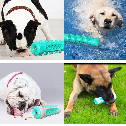 ChewClean Large Dog Toothbrush Toy