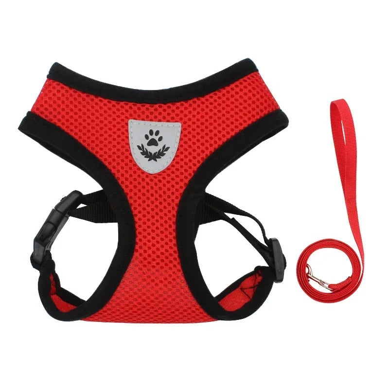 AirMesh Adjustable Pet Harness & Leash Set