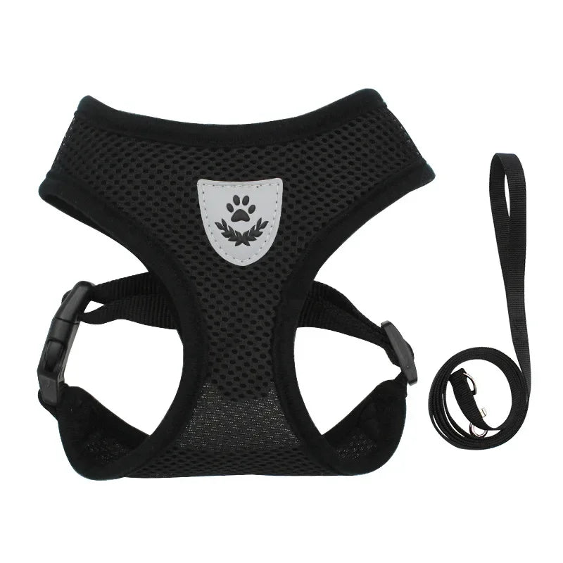 AirMesh Adjustable Pet Harness & Leash Set