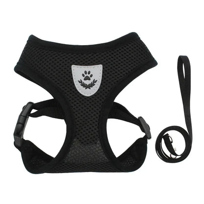 AirMesh Adjustable Pet Harness & Leash Set