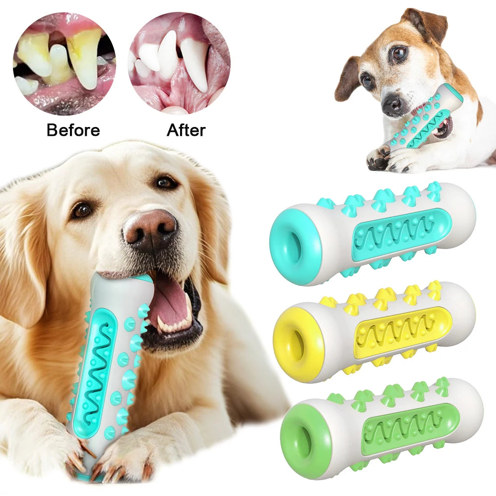 ChewClean Large Dog Toothbrush Toy