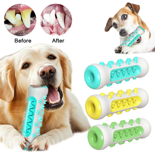ChewClean Large Dog Toothbrush Toy