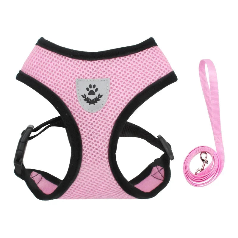 AirMesh Adjustable Pet Harness & Leash Set