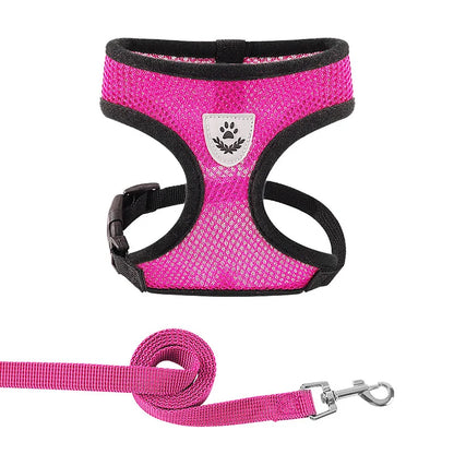 AirMesh Adjustable Pet Harness & Leash Set
