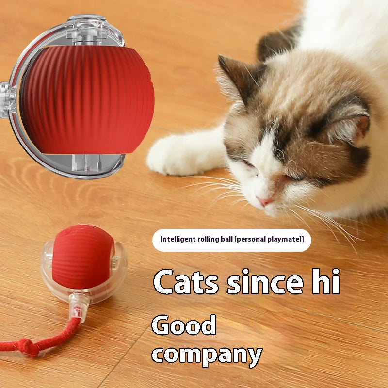 PawSphere Smart Interactive Cat Ball