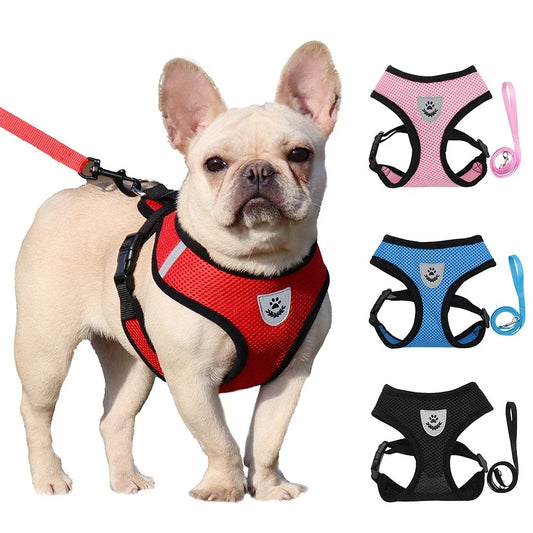 AirMesh Adjustable Pet Harness & Leash Set