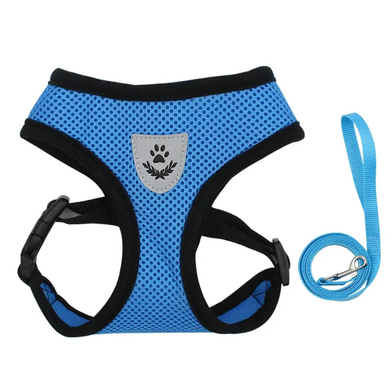 AirMesh Adjustable Pet Harness & Leash Set