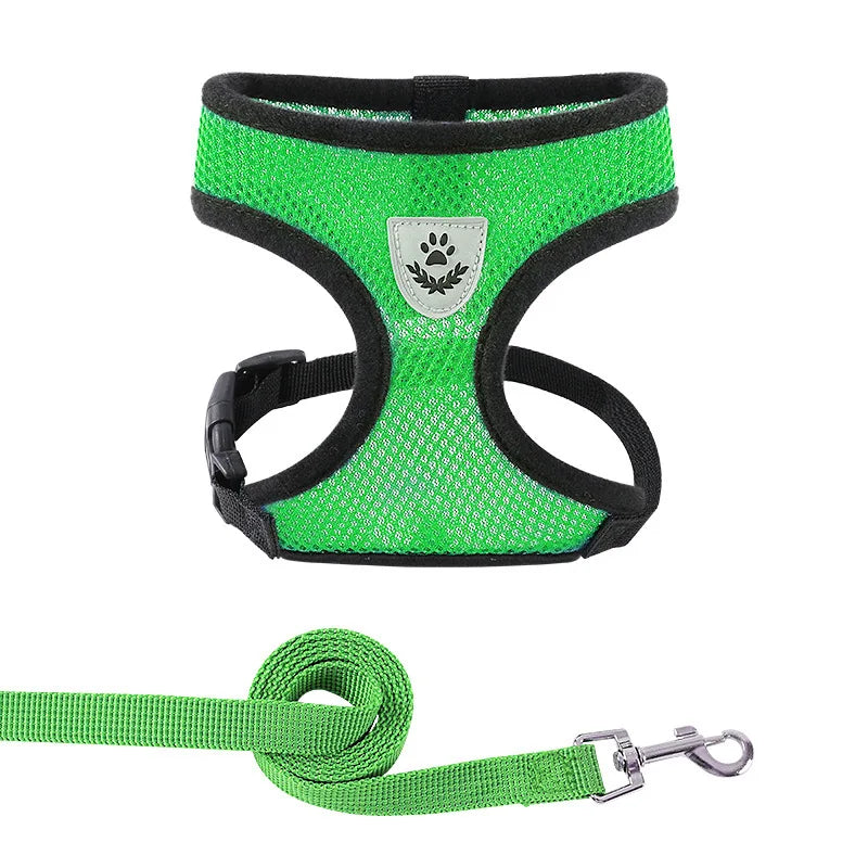 AirMesh Adjustable Pet Harness & Leash Set