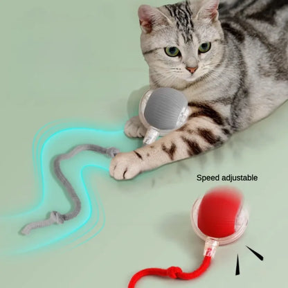 PawSphere Smart Interactive Cat Ball
