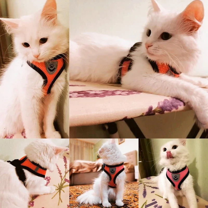 AirMesh Adjustable Pet Harness & Leash Set